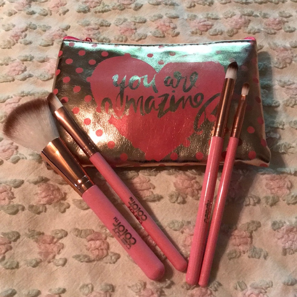Makeup carry bag and brushes
